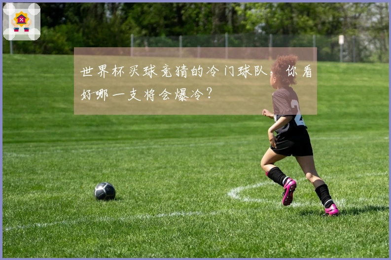 世界杯买球竞猜的冷门球队，你看好哪一支将会爆冷？