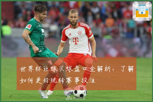 世界杯让球买球盘口全解析，了解如何更好玩转赛事投注
