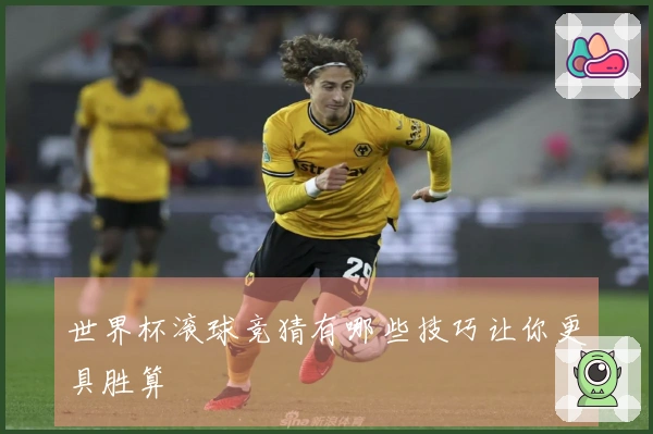 世界杯滚球竞猜有哪些技巧让你更具胜算