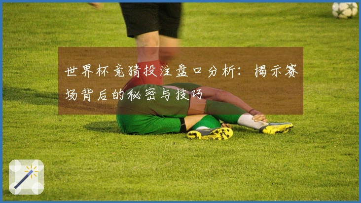 世界杯竞猜投注盘口分析：揭示赛场背后的秘密与技巧