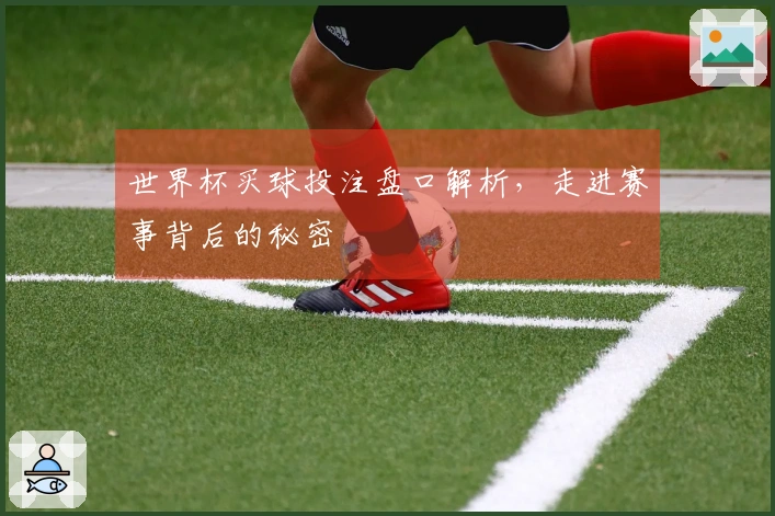 世界杯买球投注盘口解析，走进赛事背后的秘密