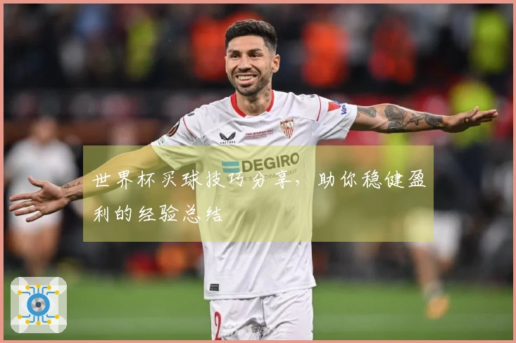 世界杯买球技巧分享，助你稳健盈利的经验总结