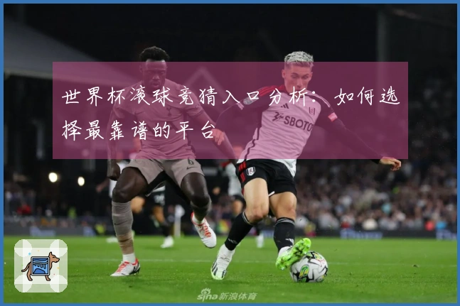 世界杯滚球竞猜入口分析：如何选择最靠谱的平台