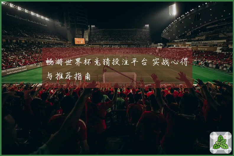 畅游世界杯竞猜投注平台 实战心得与推荐指南